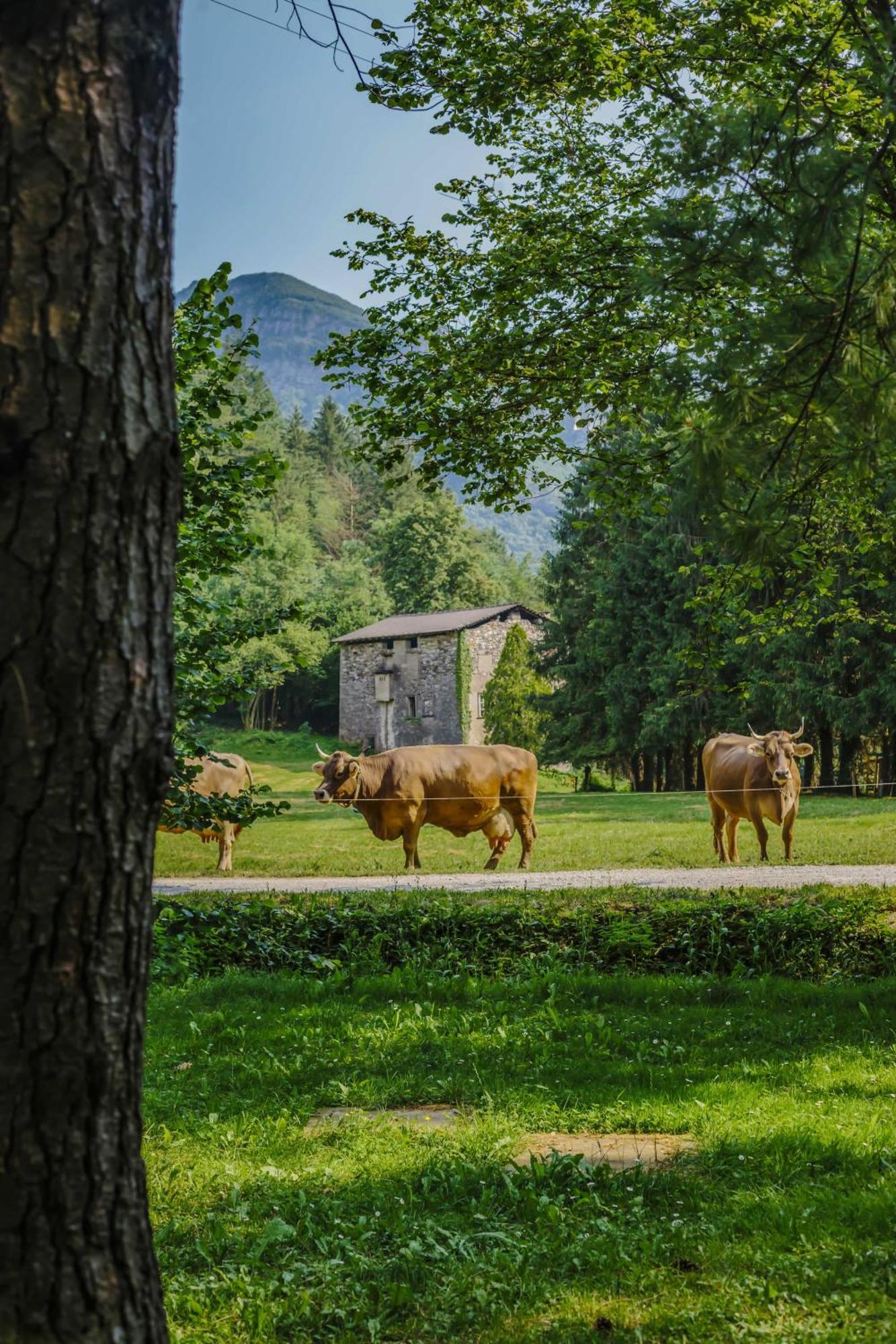 Agriturismo Ferdy Villa Lenna Exteriör bild